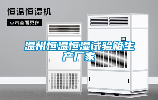 溫州恒溫恒濕試驗(yàn)箱生產(chǎn)廠(chǎng)家