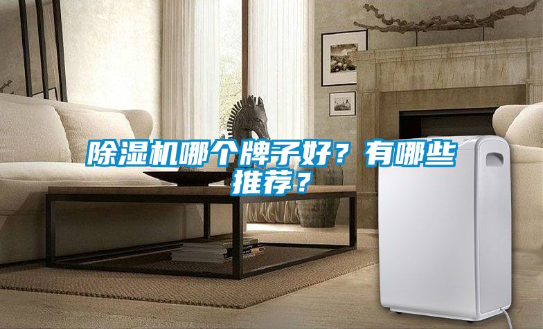 除濕機(jī)哪個(gè)牌子好？有哪些推薦？