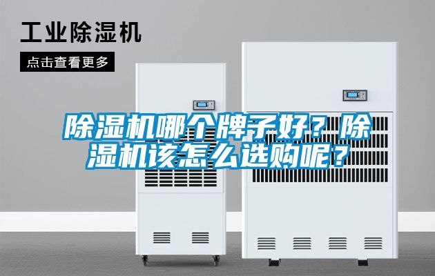 除濕機(jī)哪個(gè)牌子好？除濕機(jī)該怎么選購(gòu)呢？