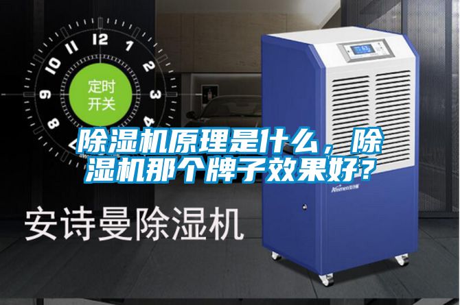 除濕機(jī)原理是什么，除濕機(jī)那個(gè)牌子效果好？