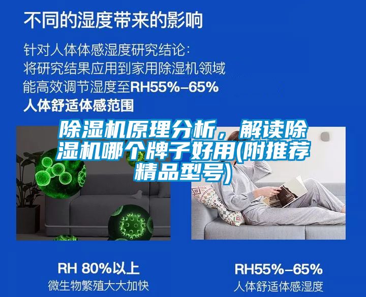 除濕機原理分析，解讀除濕機哪個牌子好用(附推薦精品型號)