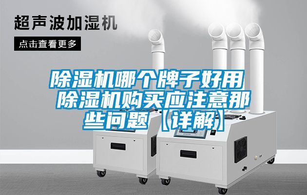 除濕機哪個牌子好用 除濕機購買應(yīng)注意那些問題【詳解】
