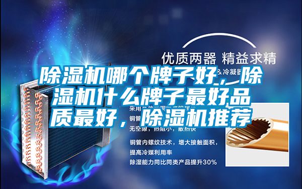 除濕機(jī)哪個牌子好，除濕機(jī)什么牌子最好品質(zhì)最好，除濕機(jī)推薦