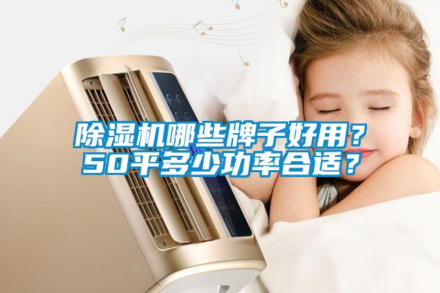 除濕機哪些牌子好用？50平多少功率合適？