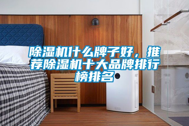 除濕機什么牌子好，推薦除濕機十大品牌排行榜排名