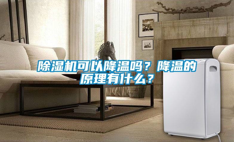 除濕機(jī)可以降溫嗎？降溫的原理有什么？