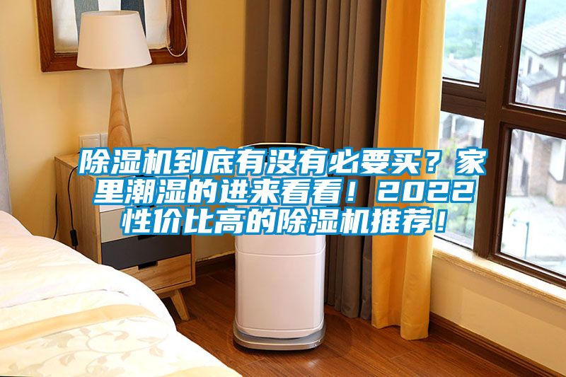 除濕機到底有沒有必要買？家里潮濕的進來看看！2022性價比高的除濕機推薦！