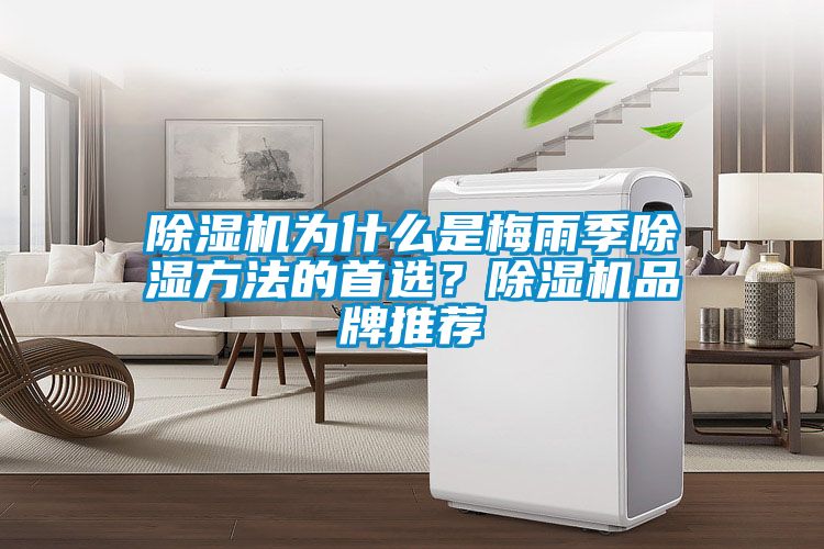除濕機(jī)為什么是梅雨季除濕方法的首選？除濕機(jī)品牌推薦