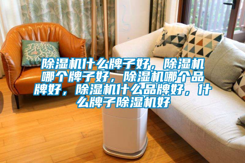除濕機什么牌子好，除濕機哪個牌子好，除濕機哪個品牌好，除濕機什么品牌好，什么牌子除濕機好