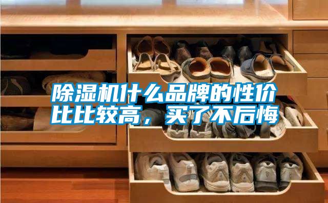 除濕機什么品牌的性價比比較高，買了不后悔