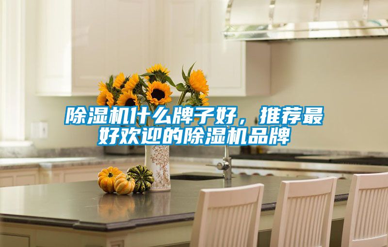 除濕機什么牌子好，推薦最好歡迎的除濕機品牌