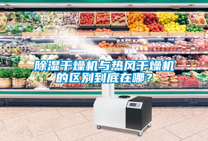 除濕干燥機與熱風干燥機的區(qū)別到底在哪？