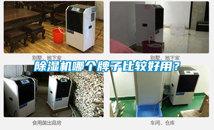 除濕機(jī)哪個(gè)牌子比較好用？