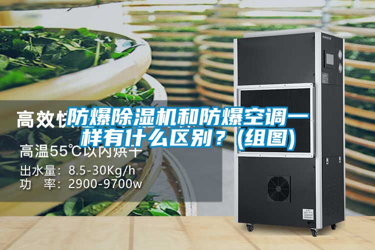 防爆除濕機和防爆空調(diào)一樣有什么區(qū)別？(組圖)