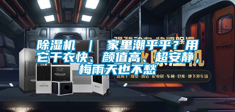 除濕機 ｜ 家里潮乎乎？用它干衣快、顏值高、超安靜，梅雨天也不愁