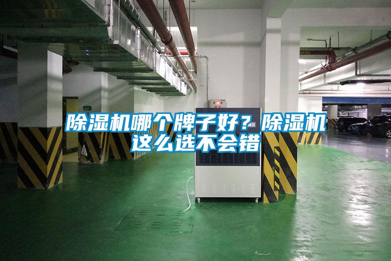 除濕機哪個牌子好？除濕機這么選不會錯