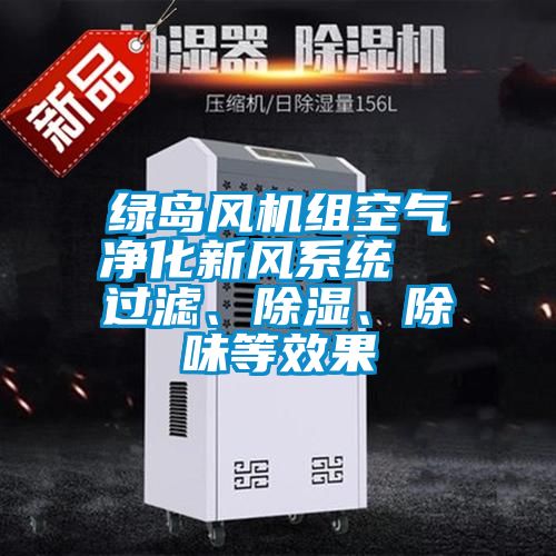 綠島風(fēng)機(jī)組空氣凈化新風(fēng)系統(tǒng)  過(guò)濾、除濕、除味等效果