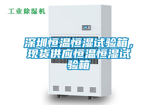 深圳恒溫恒濕試驗(yàn)箱，現(xiàn)貨供應(yīng)恒溫恒濕試驗(yàn)箱