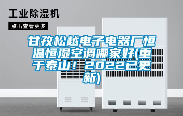 甘孜松越電子電器廠恒溫恒濕空調(diào)哪家好(重于泰山！2022已更新)