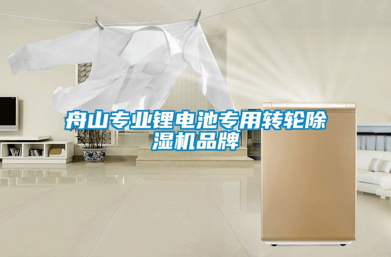 舟山專業(yè)鋰電池專用轉輪除濕機品牌