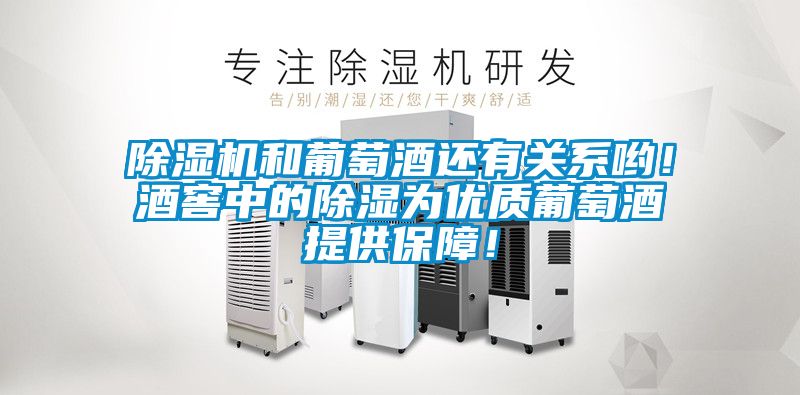 除濕機(jī)和葡萄酒還有關(guān)系喲！酒窖中的除濕為優(yōu)質(zhì)葡萄酒提供保障！