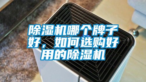 除濕機(jī)哪個(gè)牌子好，如何選購好用的除濕機(jī)
