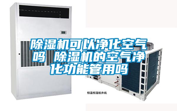 除濕機(jī)可以?xún)艋諝鈫?除濕機(jī)的空氣凈化功能管用嗎