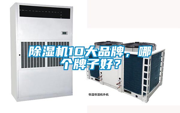 除濕機10大品牌，哪個牌子好？
