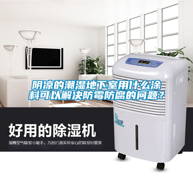 陰涼的潮濕地下室用什么涂料可以解決防霉防腐的問題？