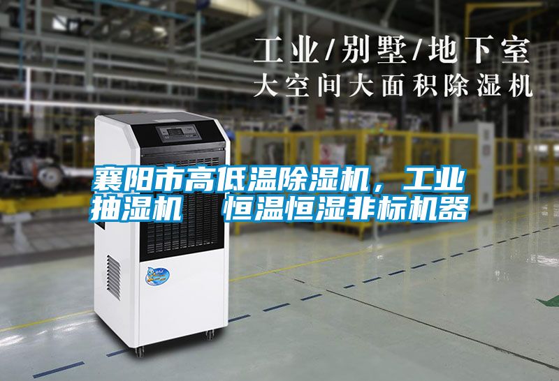 襄陽(yáng)市高低溫除濕機(jī)，工業(yè)抽濕機(jī)  恒溫恒濕非標(biāo)機(jī)器