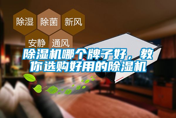 除濕機哪個牌子好，教你選購好用的除濕機