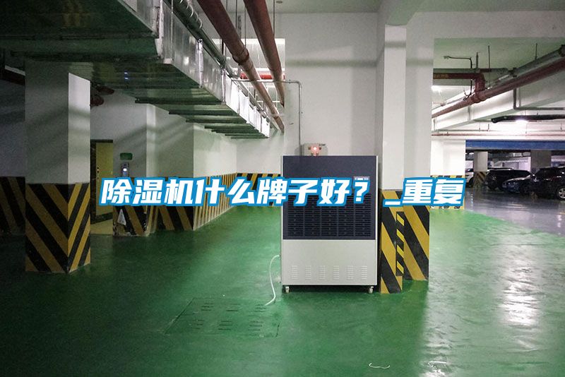 除濕機(jī)什么牌子好？_重復(fù)