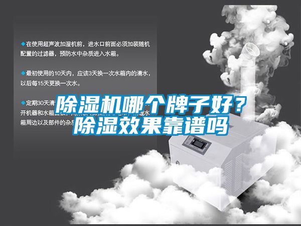 除濕機哪個牌子好？除濕效果靠譜嗎
