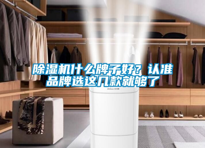 除濕機什么牌子好？認準品牌選這幾款就夠了