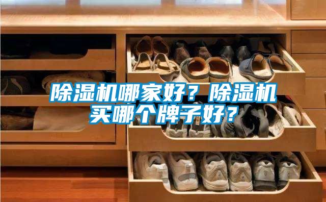 除濕機哪家好？除濕機買哪個牌子好？