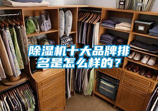 除濕機十大品牌排名是怎么樣的？