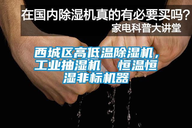 西城區(qū)高低溫除濕機(jī)，工業(yè)抽濕機(jī)  恒溫恒濕非標(biāo)機(jī)器