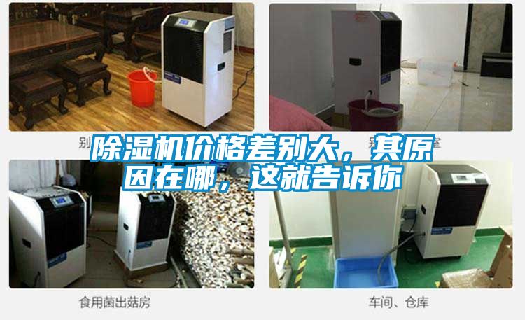 除濕機(jī)價(jià)格差別大，其原因在哪，這就告訴你