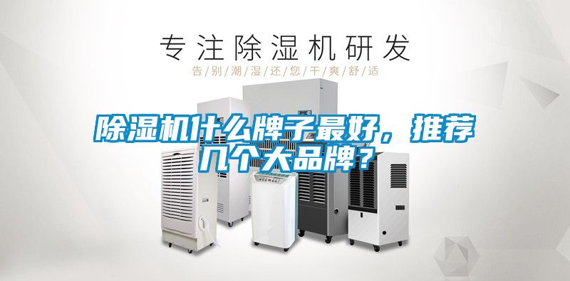 除濕機什么牌子最好，推薦幾個大品牌？