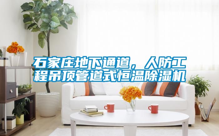 石家莊地下通道，人防工程吊頂管道式恒溫除濕機(jī)