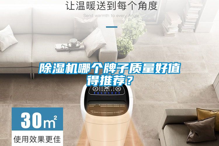 除濕機哪個牌子質(zhì)量好值得推薦？