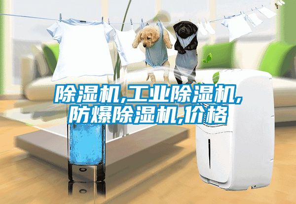 除濕機(jī),工業(yè)除濕機(jī),防爆除濕機(jī),價(jià)格