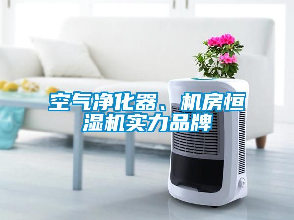 空氣凈化器、機(jī)房恒濕機(jī)實力品牌
