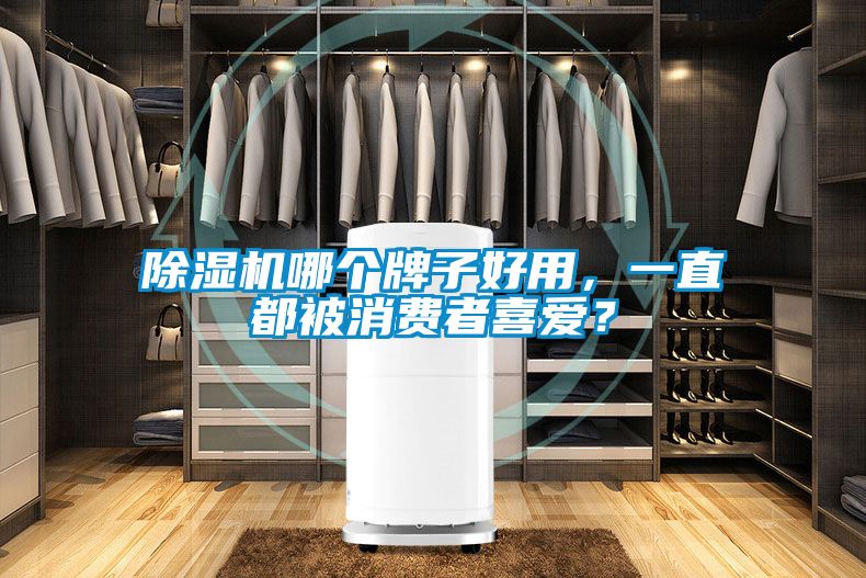 除濕機(jī)哪個(gè)牌子好用，一直都被消費(fèi)者喜愛(ài)？