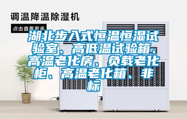 湖北步入式恒溫恒濕試驗(yàn)室、高低溫試驗(yàn)箱、高溫老化房、負(fù)載老化柜、高溫老化箱、非標(biāo)