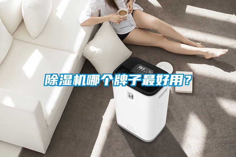 除濕機(jī)哪個牌子最好用？