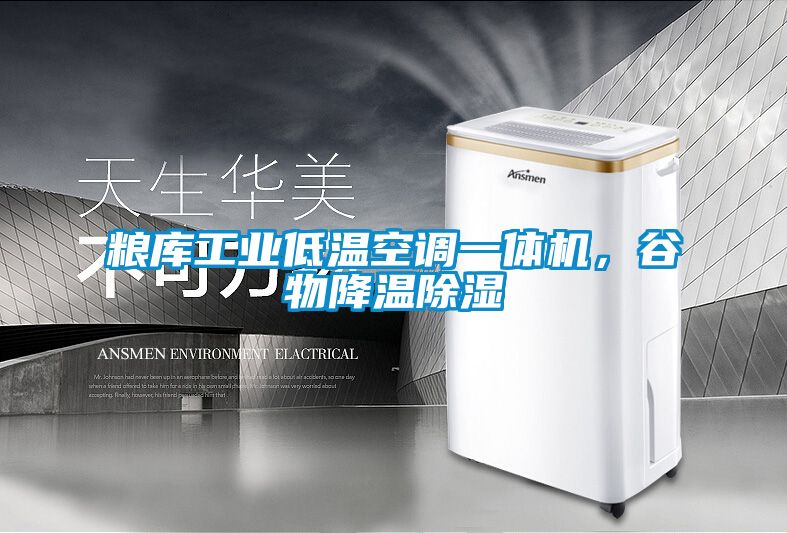 糧庫(kù)工業(yè)低溫空調(diào)一體機(jī)，谷物降溫除濕