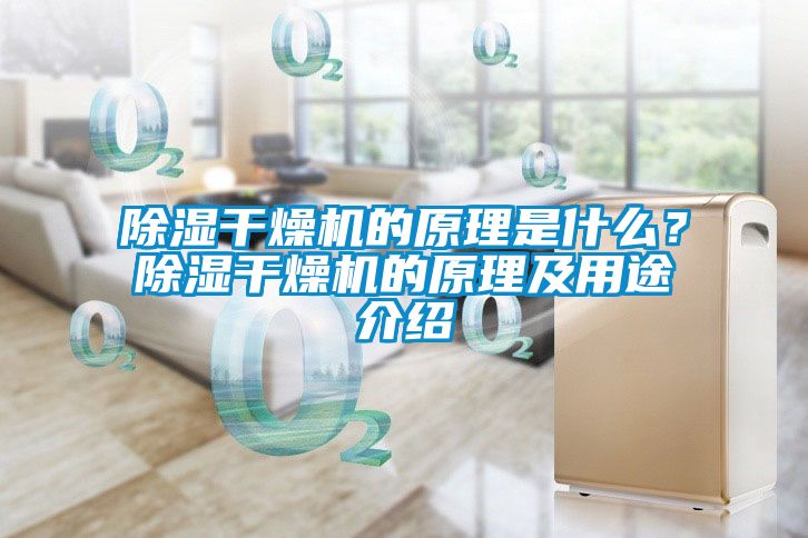 除濕干燥機的原理是什么？除濕干燥機的原理及用途介紹