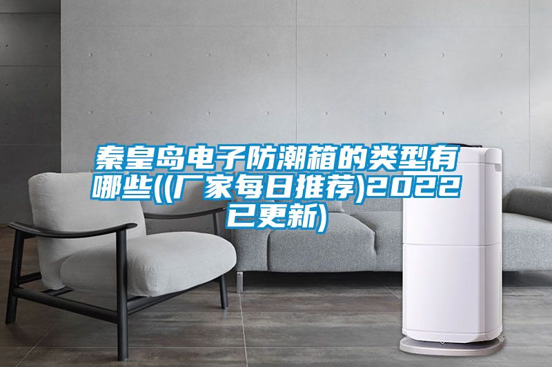 秦皇島電子防潮箱的類(lèi)型有哪些((廠家每日推薦)2022已更新)