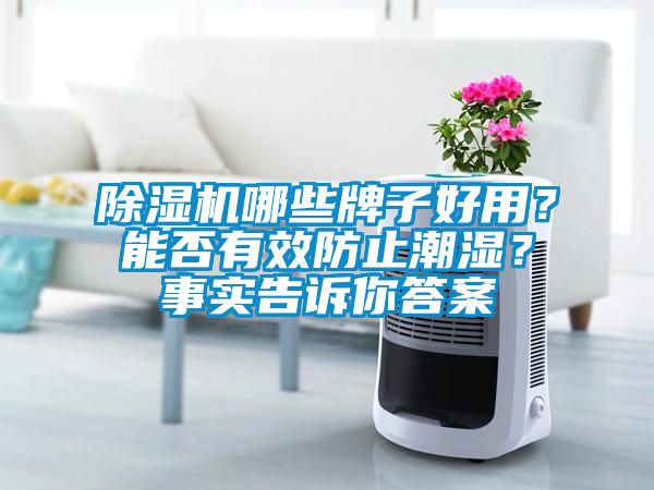 除濕機哪些牌子好用？能否有效防止潮濕？事實告訴你答案
